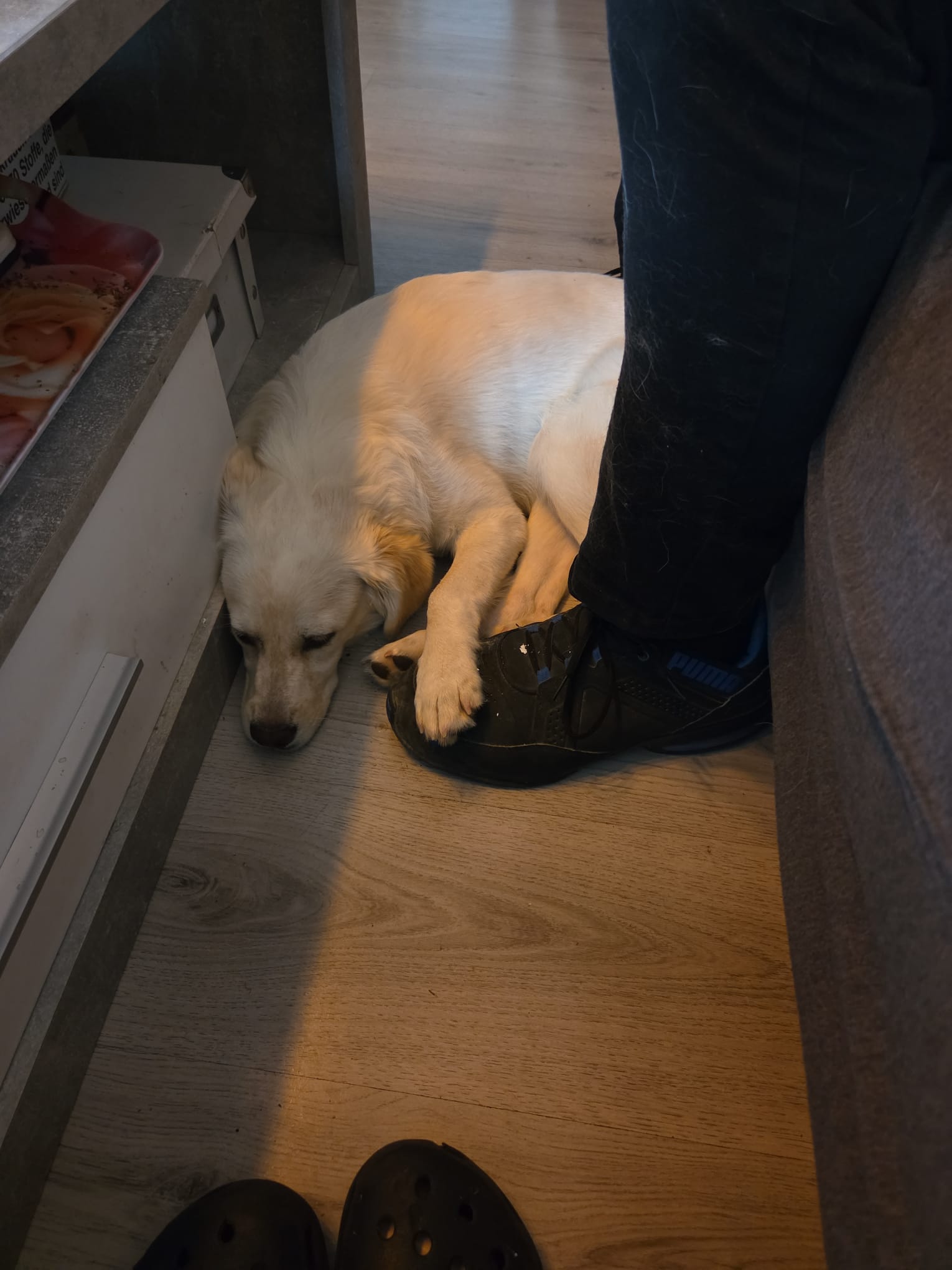 Darf ich hier bei dir bleiben?