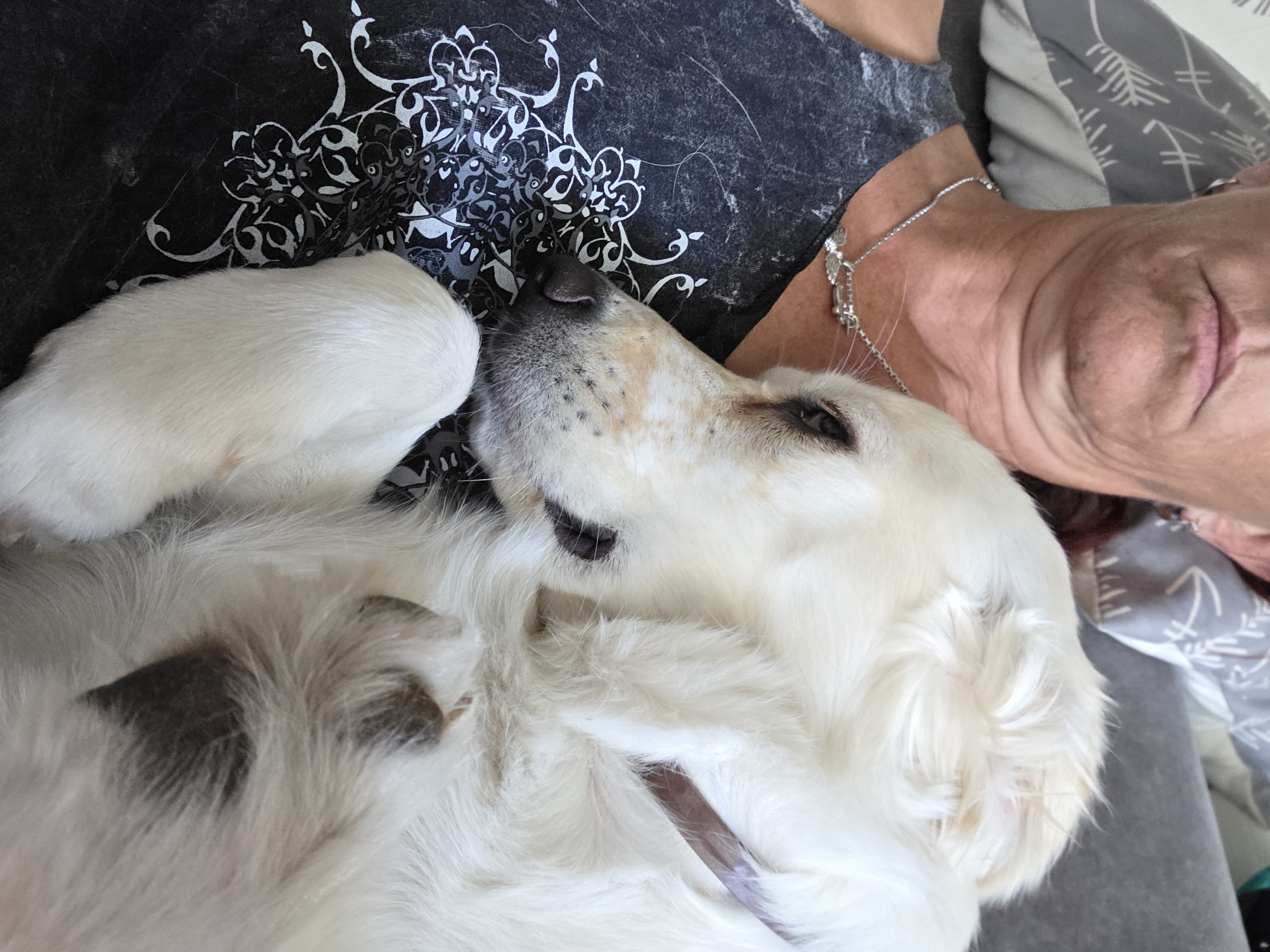 Manchmal braucht Liebe keine Worte
