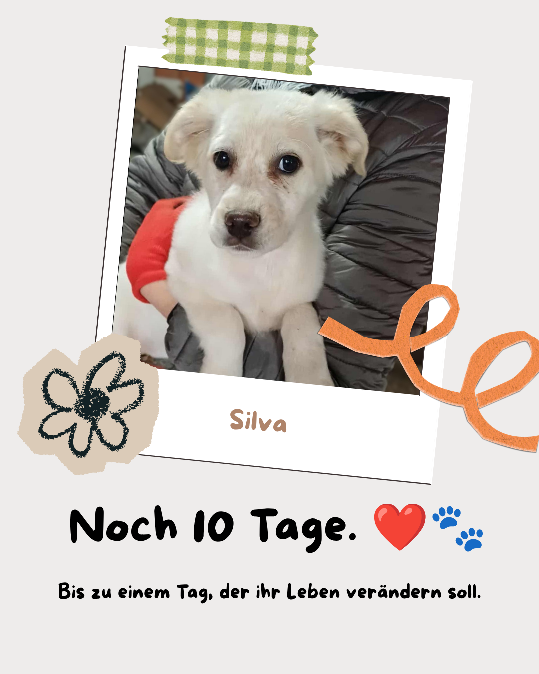 Noch 10 Tage. ❤️