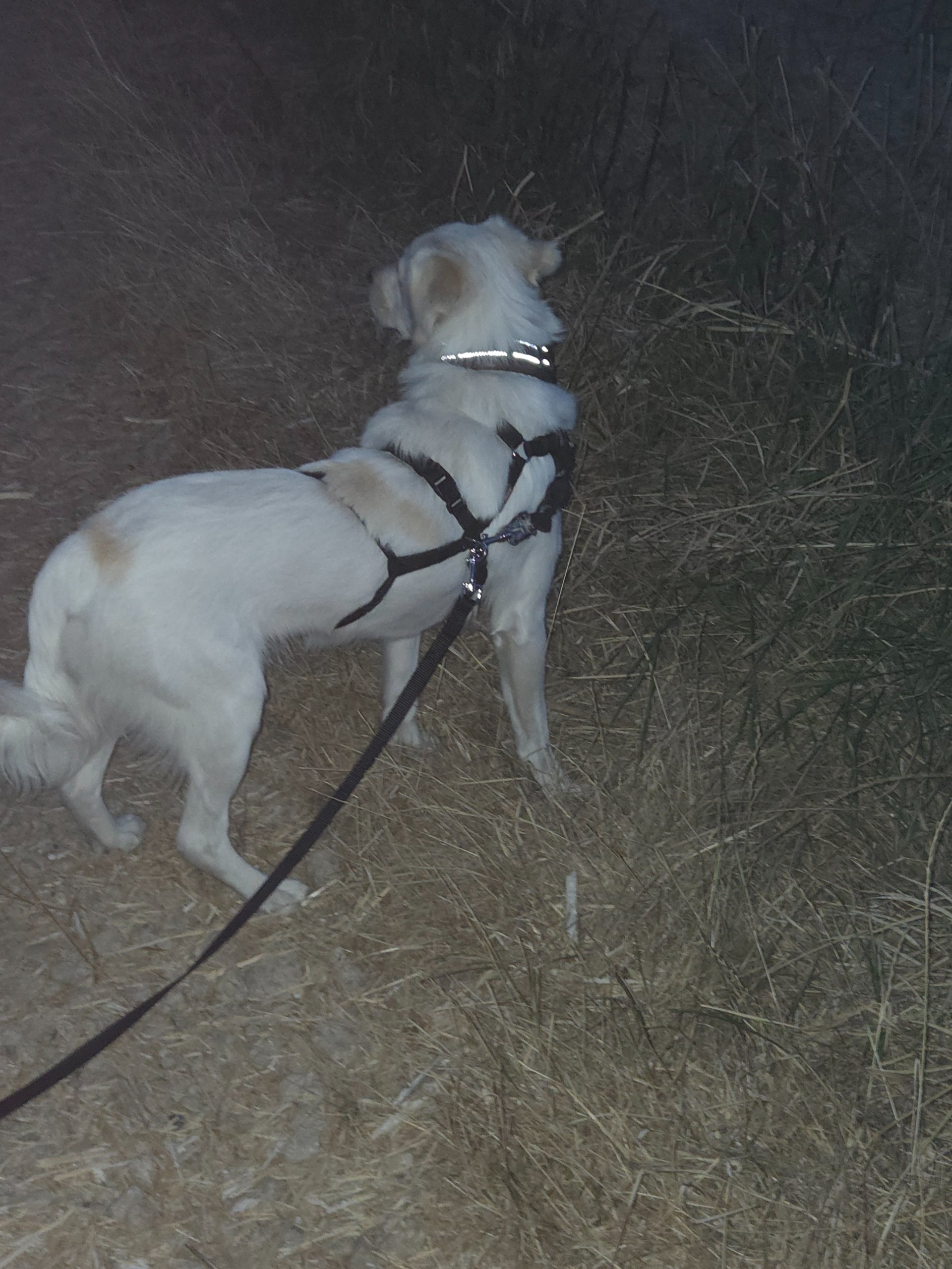 Mehr als nur ein Spaziergang
