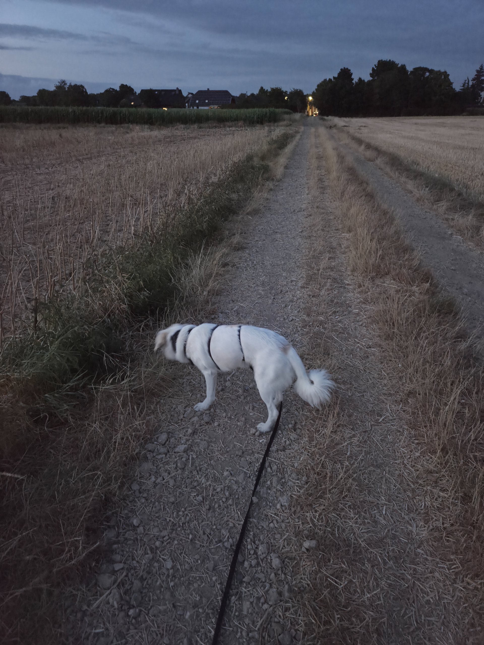 Mehr als nur ein Spaziergang
