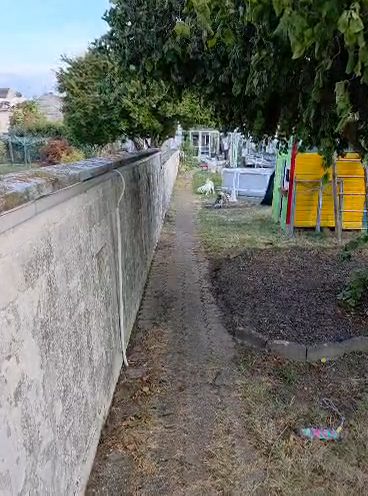 Mein Aufbautraining läuft