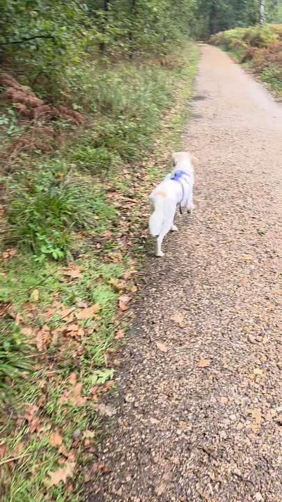 Regen? Dann eben ab in den Wald!