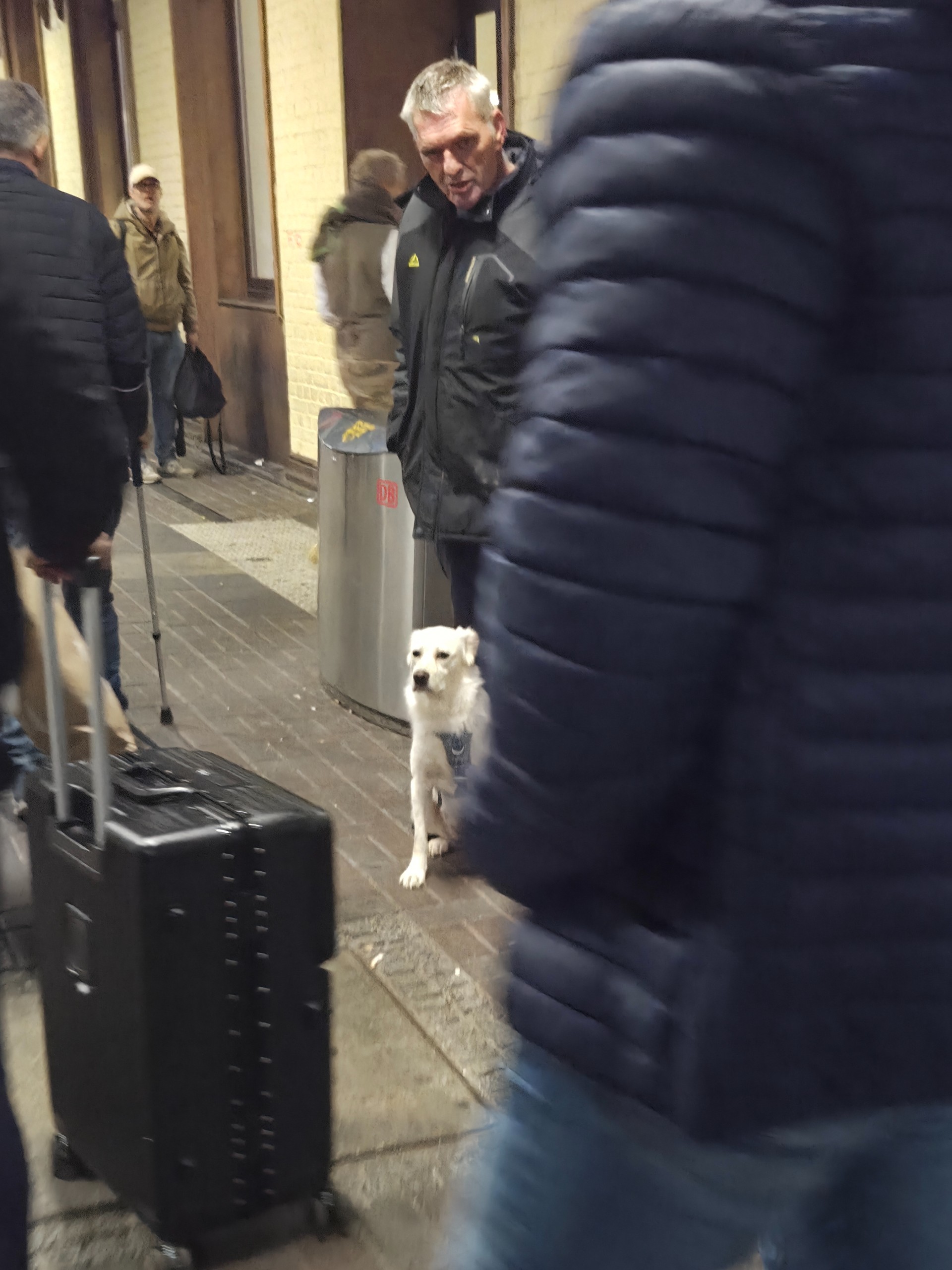 Ein Bahnhof voller Monster und mein allerliebstes Frauchen ❤️🐾