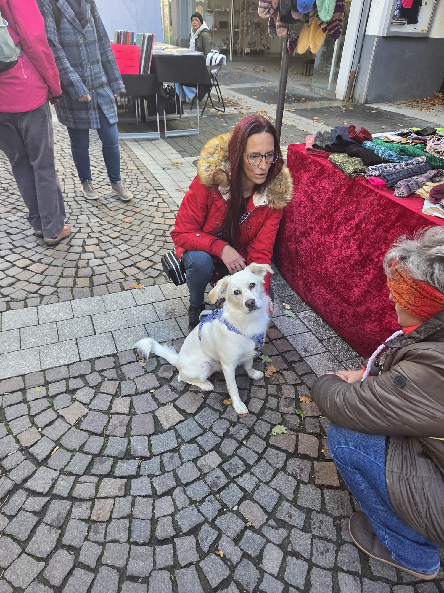 Ein Wiedersehen, viele Leckerchen und ganz viel Herz ❤️🐾