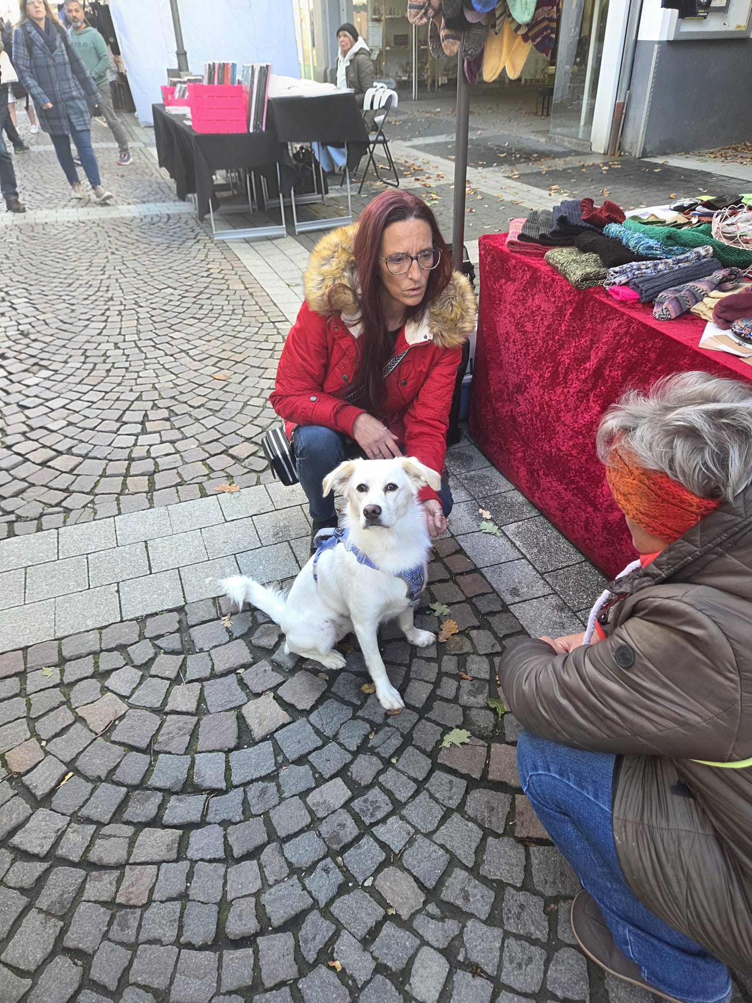 Ein Wiedersehen, viele Leckerchen und ganz viel Herz ❤️🐾