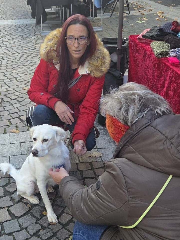 Ein Wiedersehen, viele Leckerchen und ganz viel Herz ❤️🐾