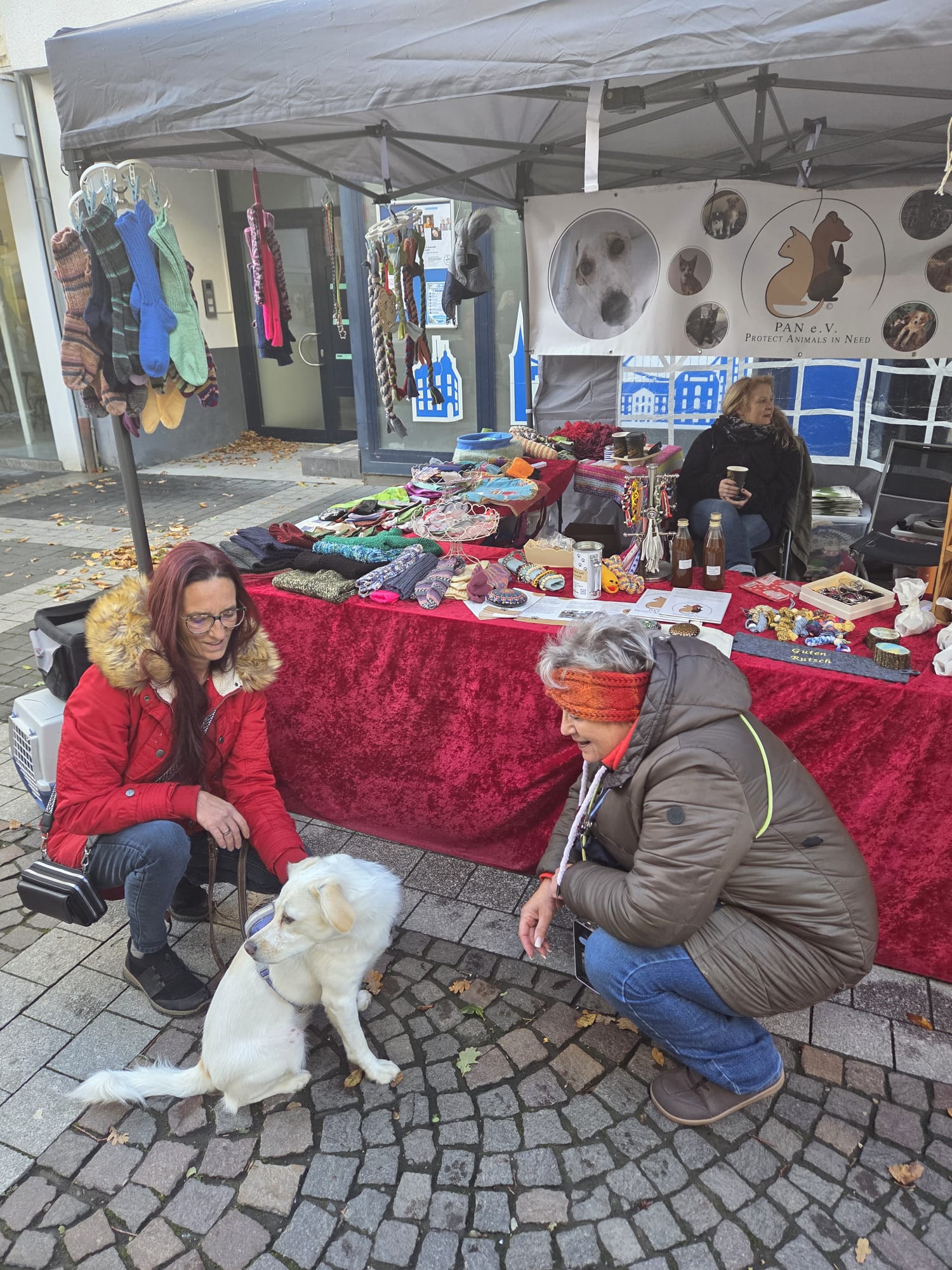 Ein Wiedersehen, viele Leckerchen und ganz viel Herz ❤️🐾