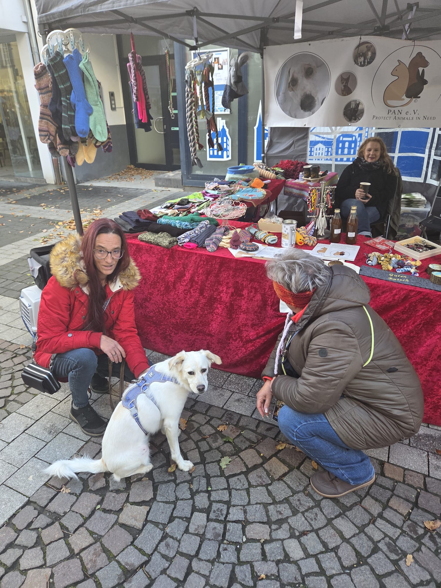 Ein Wiedersehen, viele Leckerchen und ganz viel Herz ❤️🐾