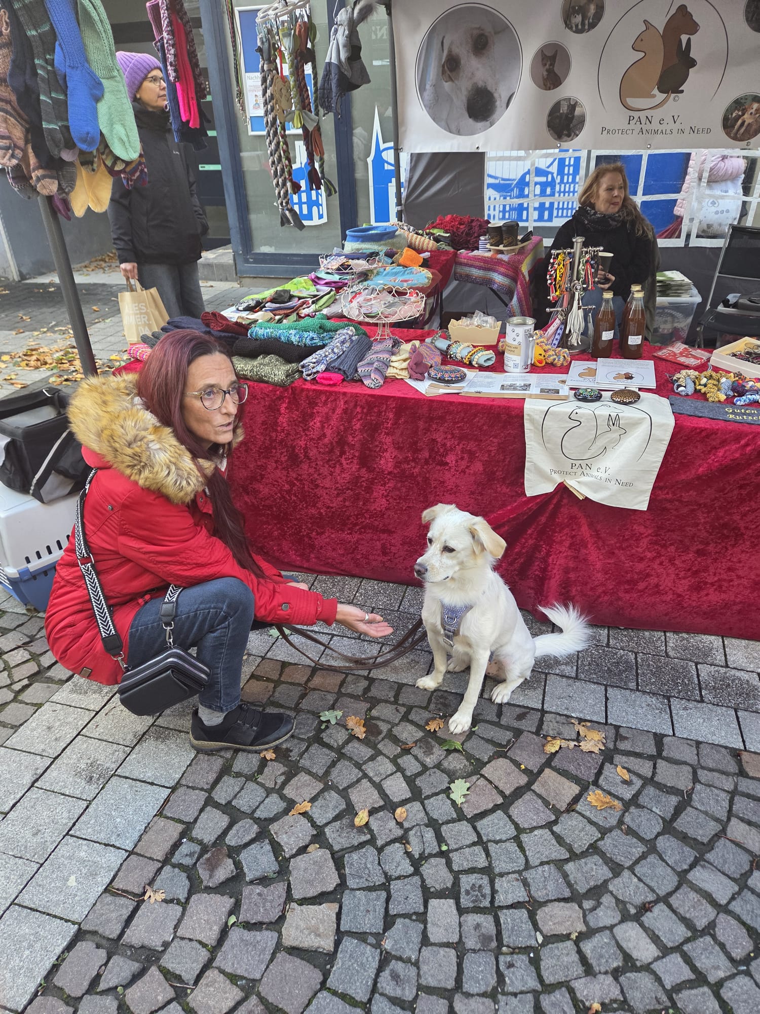 Ein Wiedersehen, viele Leckerchen und ganz viel Herz ❤️🐾