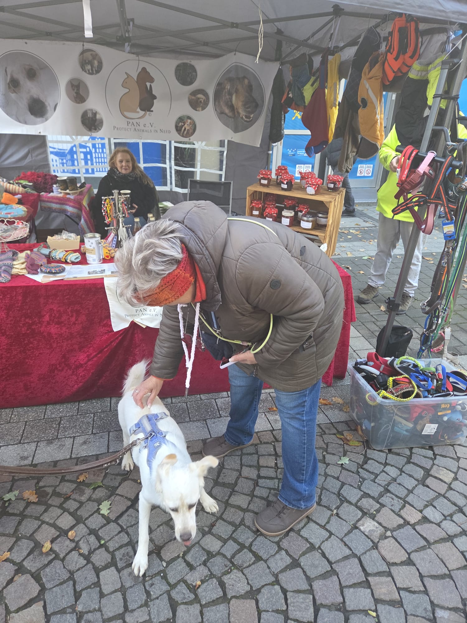Ein Wiedersehen, viele Leckerchen und ganz viel Herz ❤️🐾