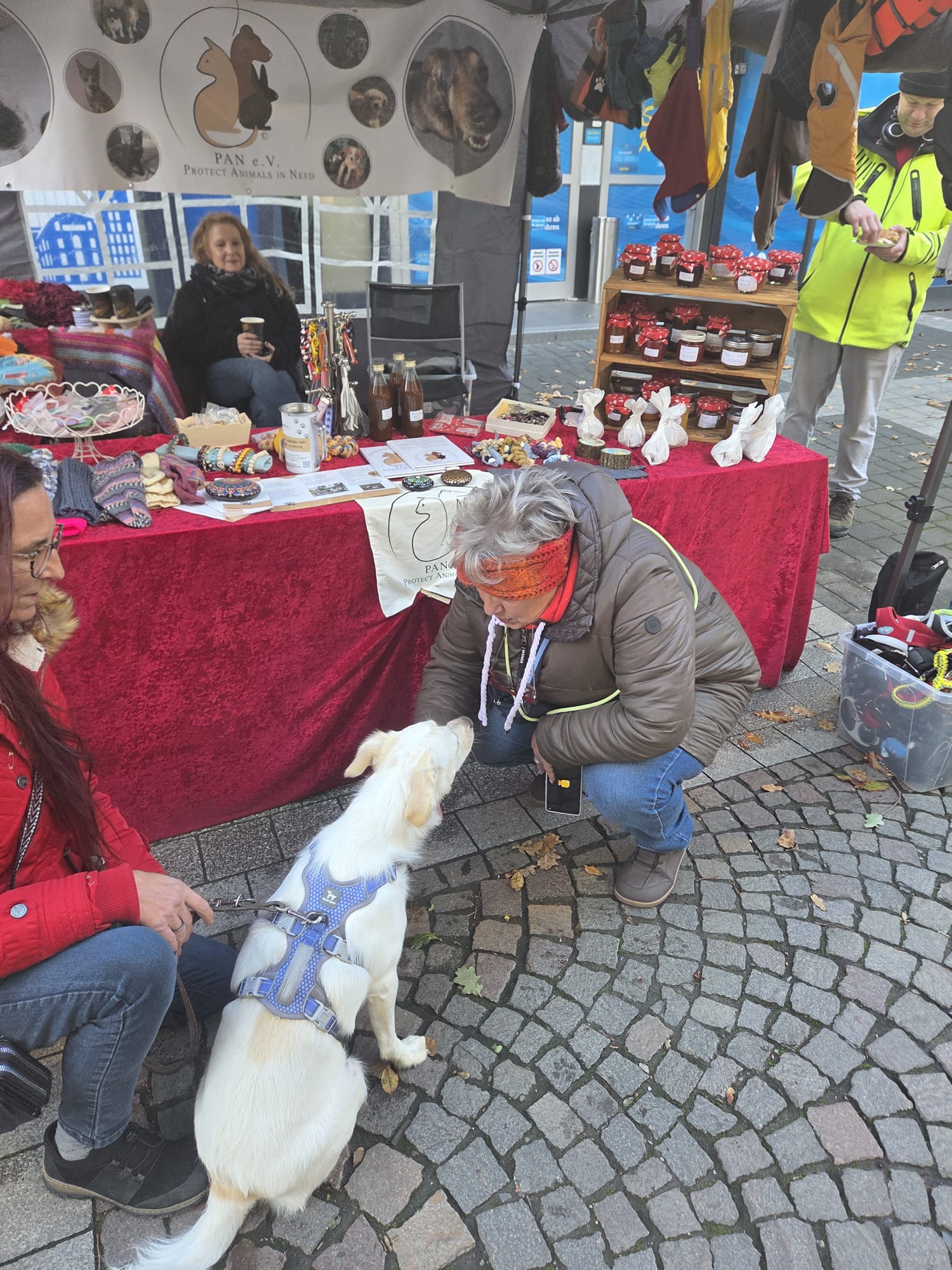 Ein Wiedersehen, viele Leckerchen und ganz viel Herz ❤️🐾