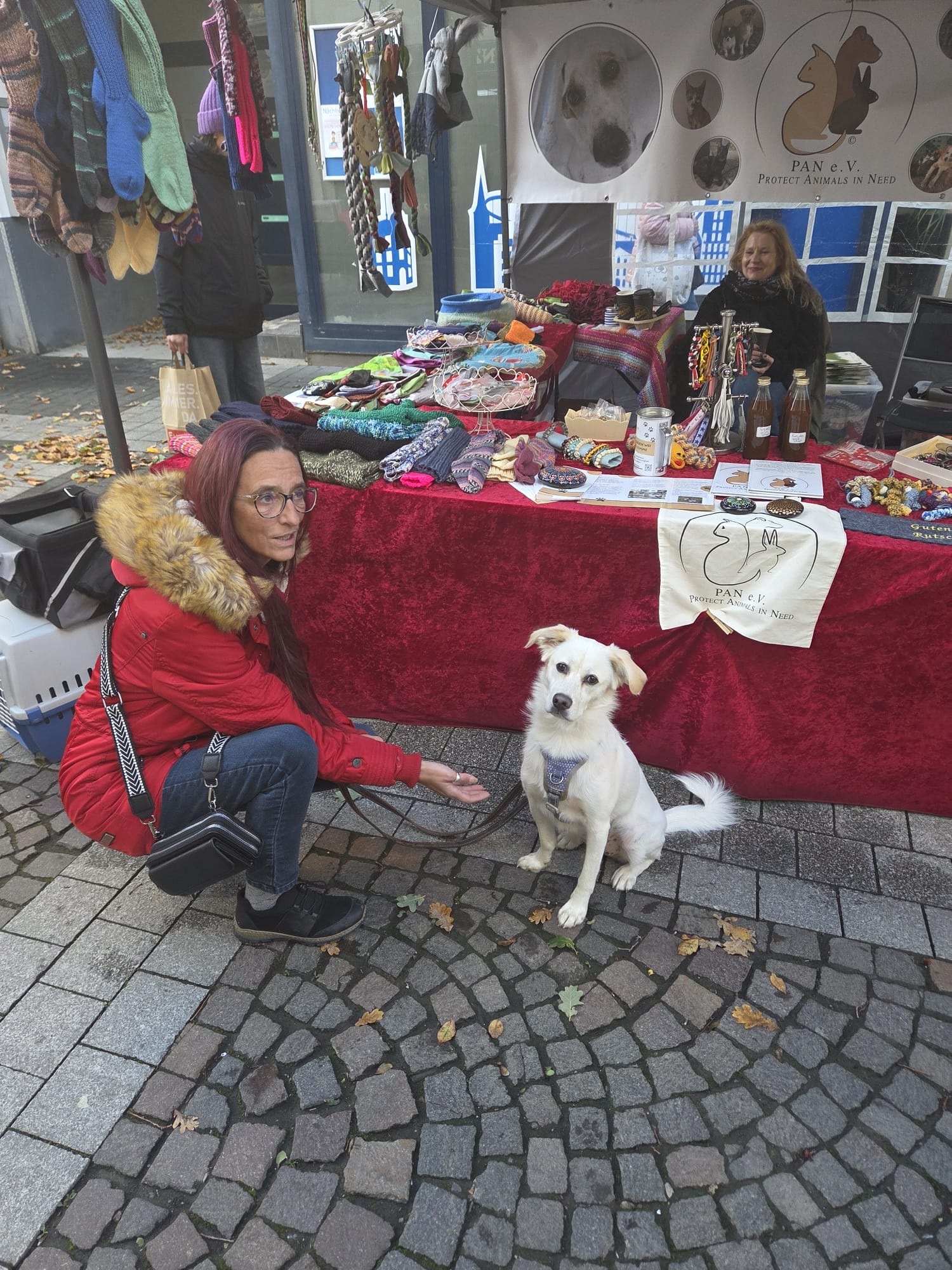 Ein Wiedersehen, viele Leckerchen und ganz viel Herz ❤️🐾