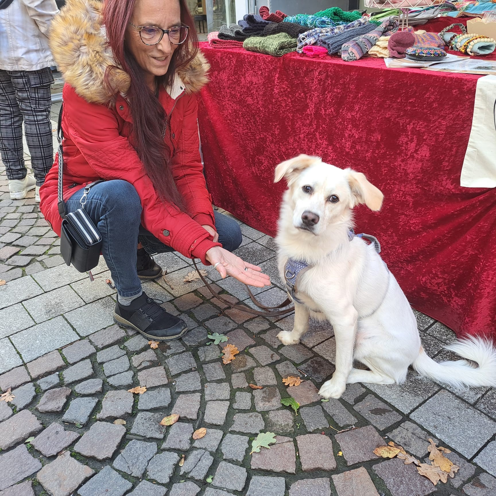 Ein Wiedersehen, viele Leckerchen und ganz viel Herz ❤️🐾