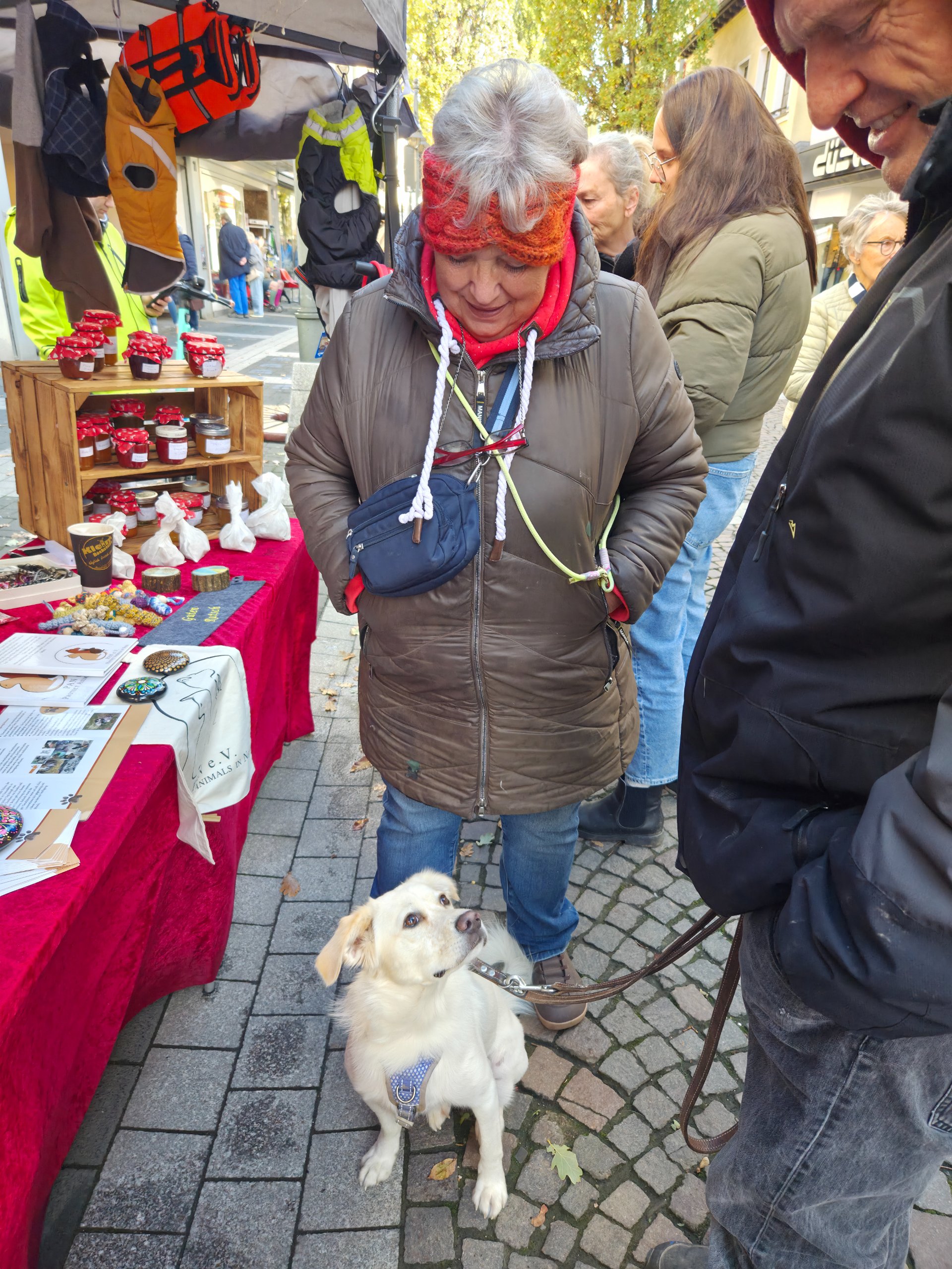 Ein Wiedersehen, viele Leckerchen und ganz viel Herz ❤️🐾