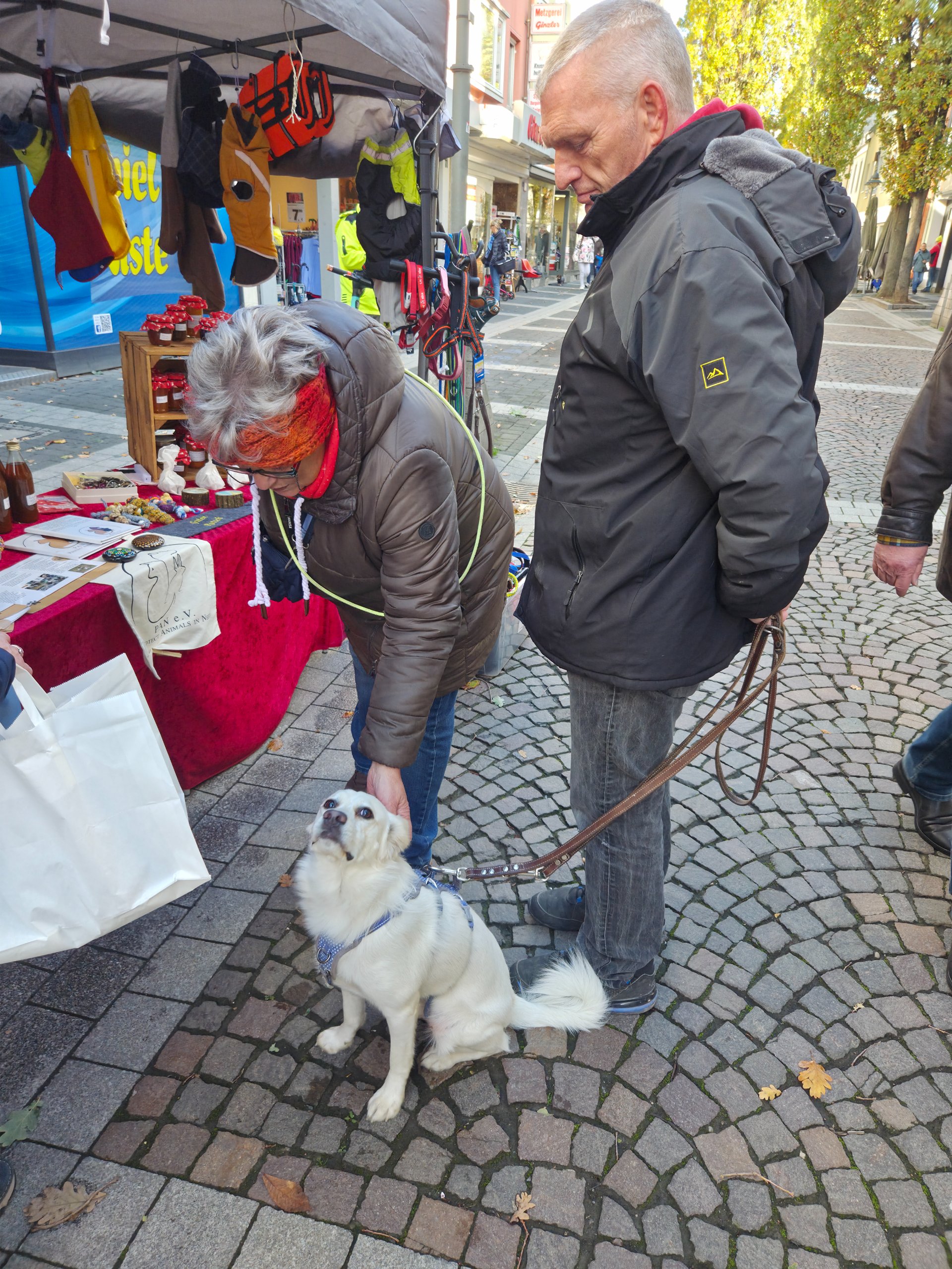 Ein Wiedersehen, viele Leckerchen und ganz viel Herz ❤️🐾