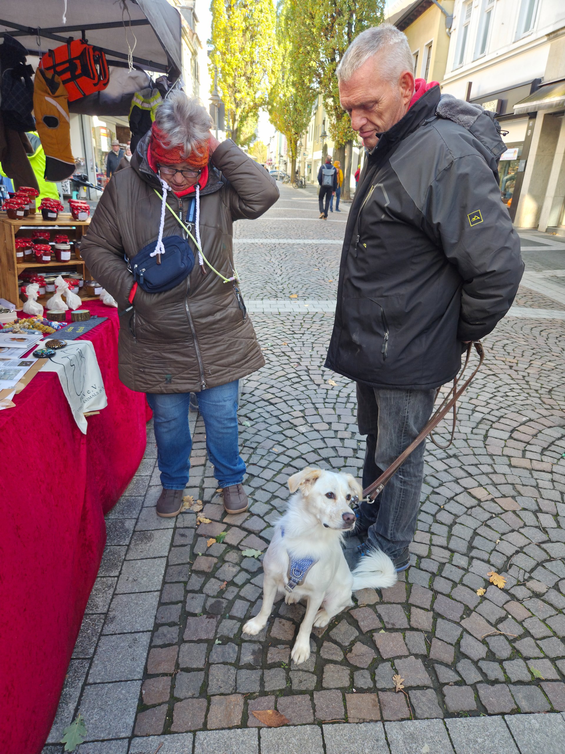 Ein Wiedersehen, viele Leckerchen und ganz viel Herz ❤️🐾