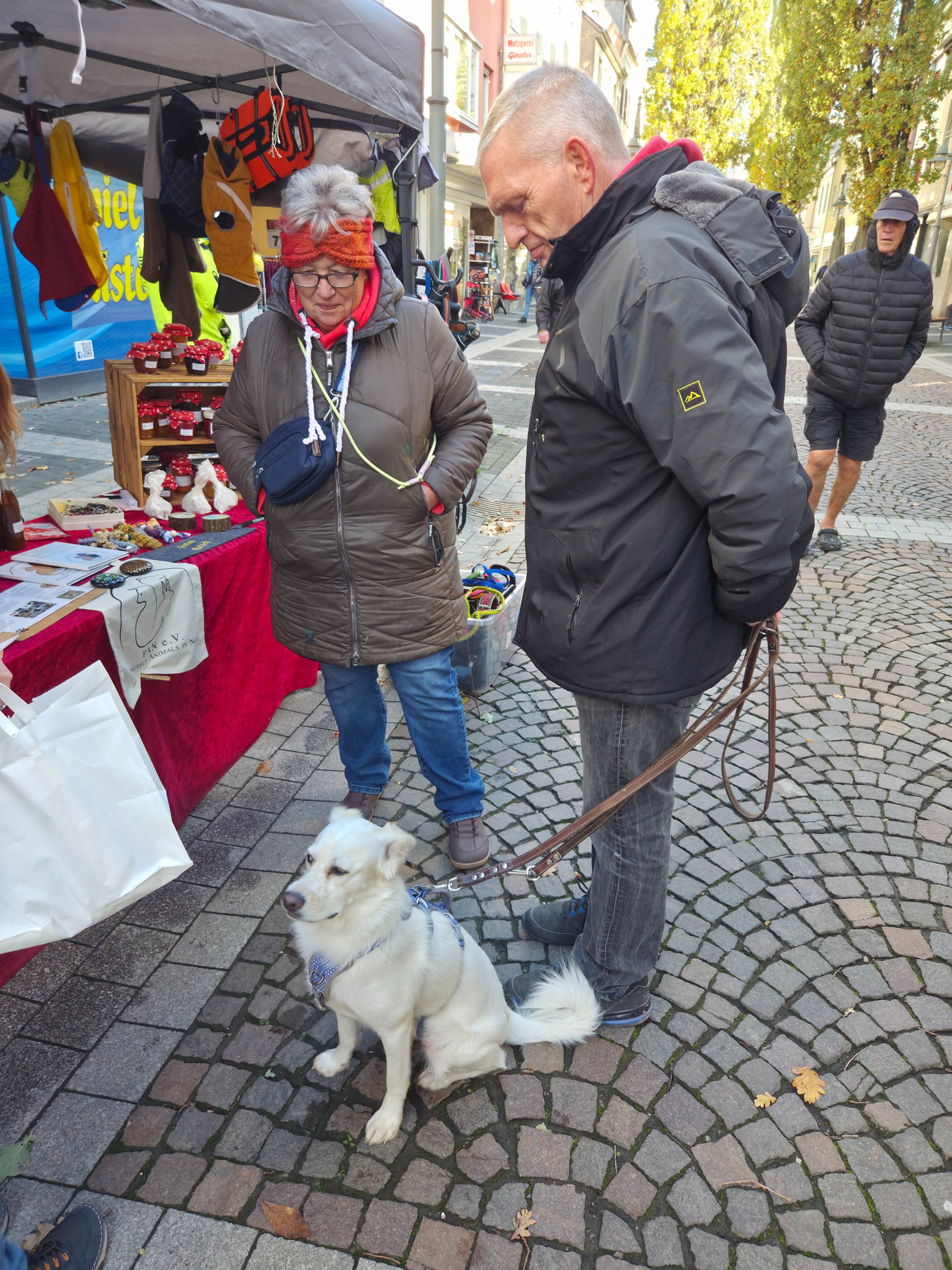 Ein Wiedersehen, viele Leckerchen und ganz viel Herz ❤️🐾