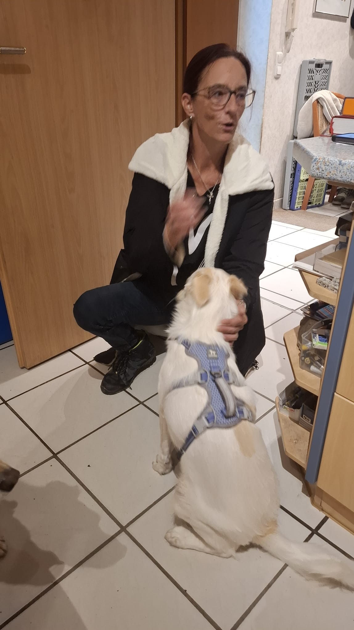 Von Pfützen, kleinen Flummis und einem ungeplanten Besuch 🐾🤣